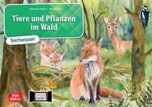 Tiere und Pflanzen im Wald. Kamishibai Bildkartenset de Katharina Stöckl-Bauer