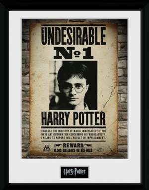 HARRY POTTER - Framed print "Undesirable No 1" x2