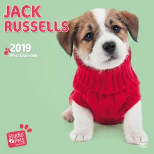 JACK RUSSELLS BY STUDIO P 2019 SQUARE WA de BROWNTROUT UK