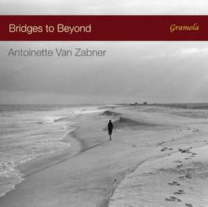 Bridges to Beyond de Antoinette van Zabner