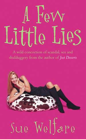 A Few Little Lies de Sue Welfare