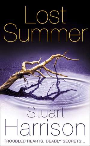 Lost Summer de Stuart Harrison