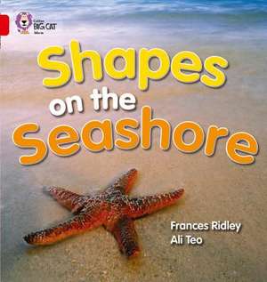 Shapes on the Seashore de Frances Ridley