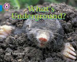 What's Underground de Gill Munton