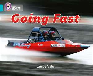 BIG CAT - GOING FAST de Janice Vale