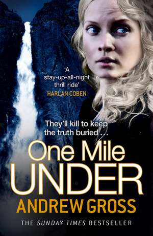 One Mile Under de Andrew Gross