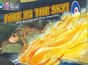 Fire in the Sky de Mick Manning