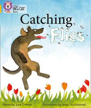 Catching Flies: Practice Book 4 de June Crebbin