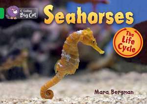 Seahorses: The Lost City de Mara Bergman