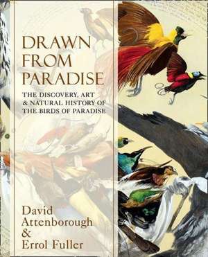 Attenborough, S: Drawn From Paradise de Errol Fuller