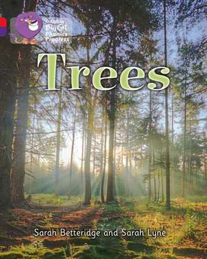 BIG CAT PHONICS TREES de Sarah Betteridge