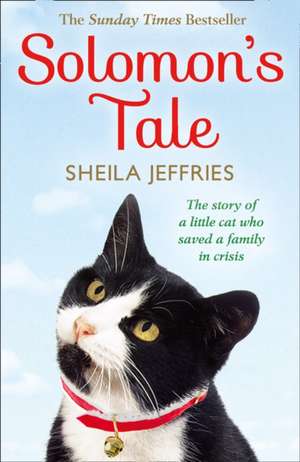 Solomon's Tale de Sheila Jeffries