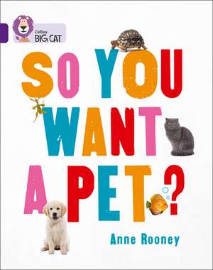 Collins Big Cat -- So You Want a Pet?: Purple/Band 08 de Anne Rooney