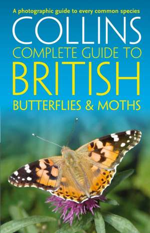 British Butterflies and Moths de Paul Sterry