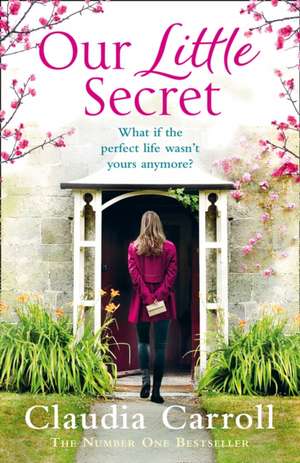 Our Little Secret de Claudia Carroll