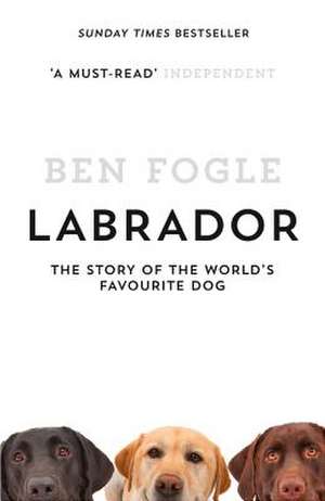 Labrador de Ben Fogle