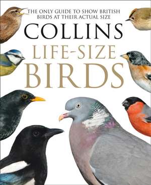 Collins Life-Size Birds de Paul Sterry