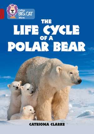 Collins Big Cat - The Life Cycle of a Polar Bear: Band 14/Ruby de Catronia Clarke