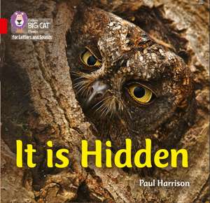 It Is Hidden de Paul Harrison