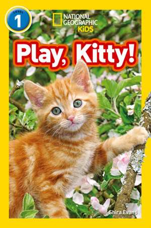 Play, Kitty! de Shira Evans