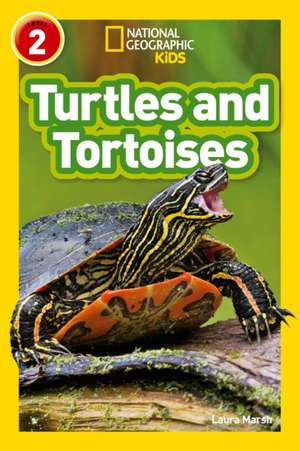 Turtles and Tortoises de Laura Marsh