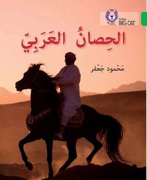 The Arabian Horse de Mahmoud Gaafar