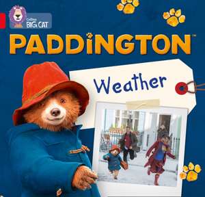 Paddington: Weather de Rebecca Adlard