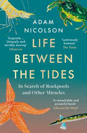 LIFE BETWEEN TIDES PB de Adam Nicolson