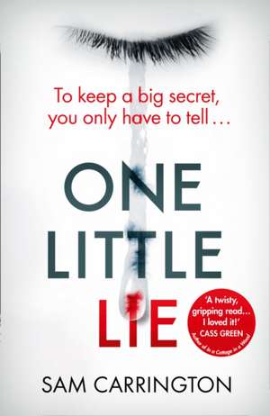 One Little Lie de Sam Carrington