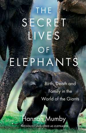 The Secret Lives of Elephants de Hannah Mumby