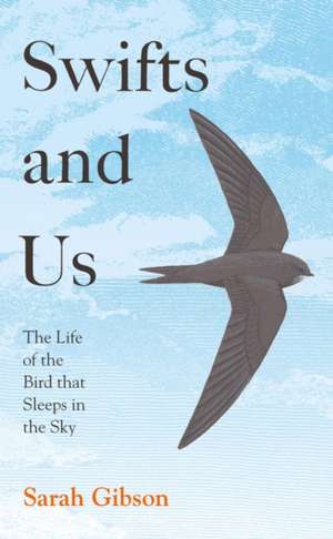 Swifts and Us de Sarah Gibson