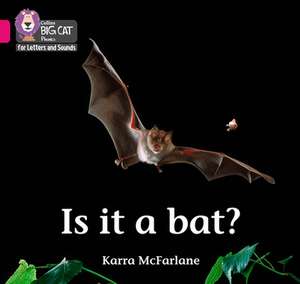 Is it a Bat? de Karra Mcfarlane