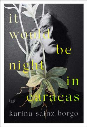 It Would Be Night in Caracas de Elizabeth Bryer