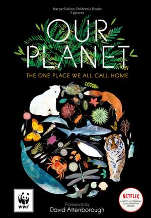 Our Planet de Matt Whyman