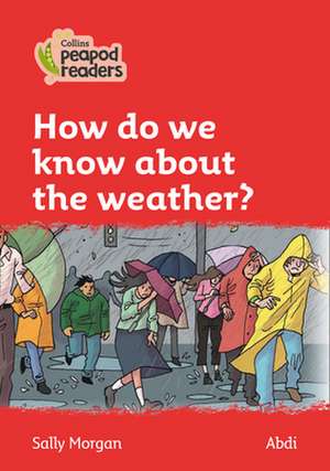 Level 5 - Why does it rain? de Sally Morgan