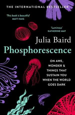 Baird, J: Phosphorescence de Julia Baird