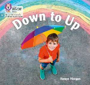 Down to Up de Hawys Morgan