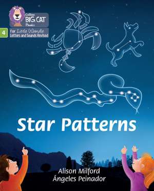 BIG CAT LW L&S_STAR PATTERN de Alison Milford