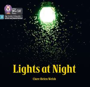 Lights at Night de Clare Helen Welsh