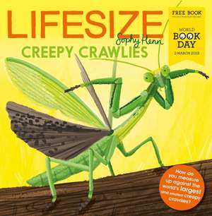 Lifesize Creepy Crawlies de Sophy Henn