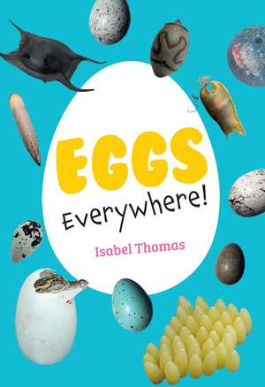 Eggs Everywhere! de Isabel Thomas