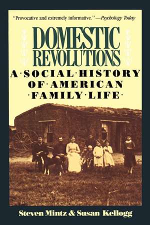 Domestic Revolutions: A Social History Of American Family Life de Steven Mintz