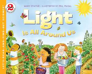 Light Is All Around Us de Wendy Pfeffer