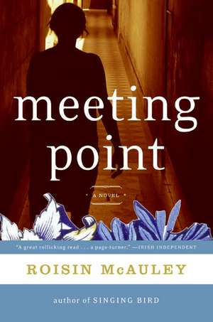 Meeting Point: A Novel de Roisin McAuley