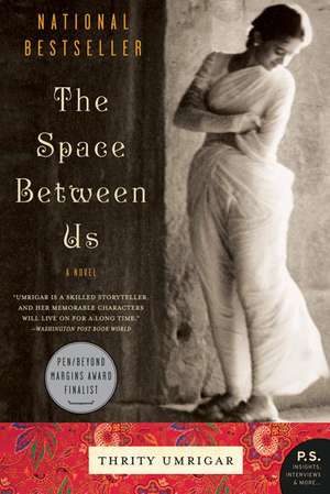 The Space Between Us de Thrity Umrigar