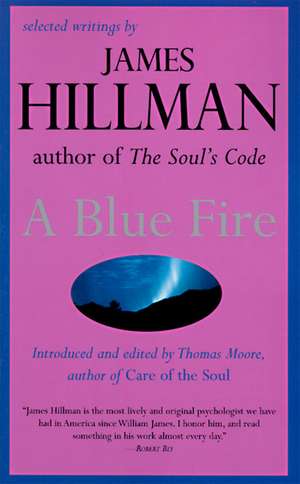 A Blue Fire de James Hillman