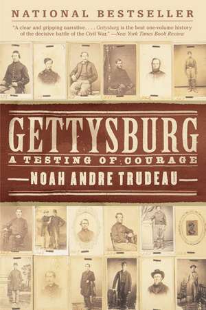 Gettysburg: A Testing of Courage de Noah Andre Trudeau