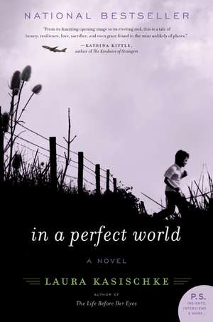 In a Perfect World: A Novel de Laura Kasischke