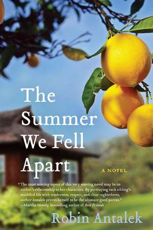 The Summer We Fell Apart: A Novel de Robin Antalek