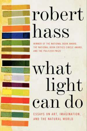 What Light Can Do: Essays on Art, Imagination, and the Natural World de Robert Hass